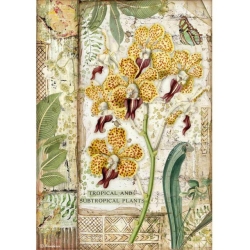 PAPEL ARROZ STAMPERIA A4 AMAZONIA ORCHID