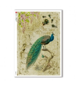 PAPEL ARROZ PAPERDESIGNS A3 PAVO REAL